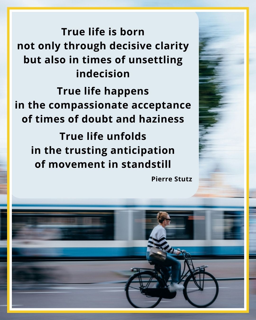 True live movement in stillness